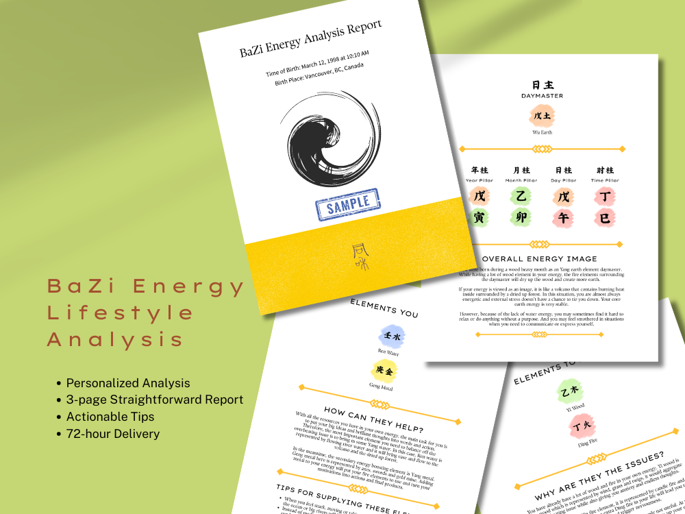 BaZi Energy Lifestyle Analysis